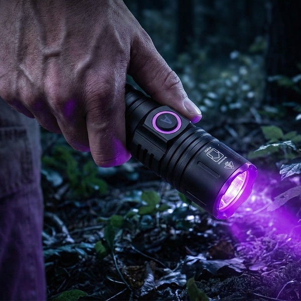 Faisceau UV sur les feuilles au sol en forêt